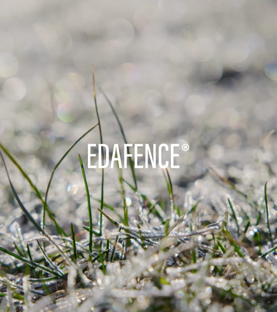 Endocare Radiance C Ferulic Edafence Serum