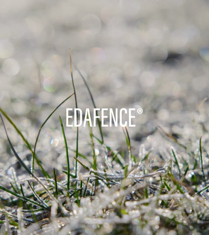 Endocare Radiance C Ferulic Edafence Serum